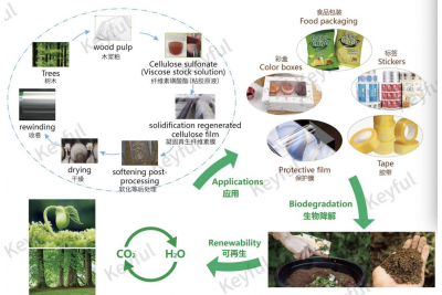 纖維素膜在環(huán)保包裝領(lǐng)域具有不可替代性